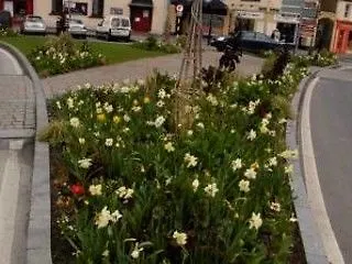 Hotell Altamont House Westport